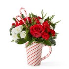 Peppermint Swirl Mug